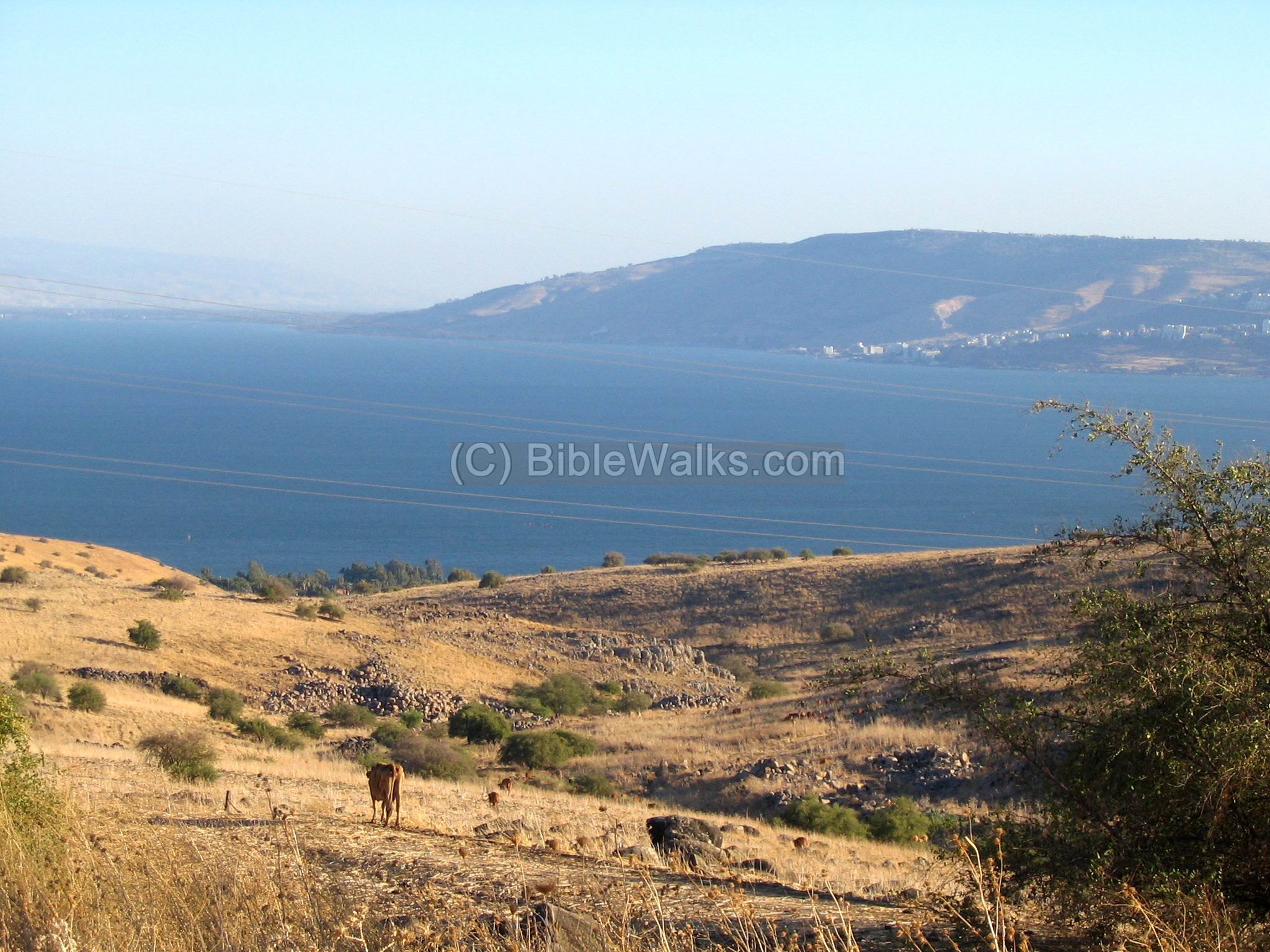 Hills Of Galilee
