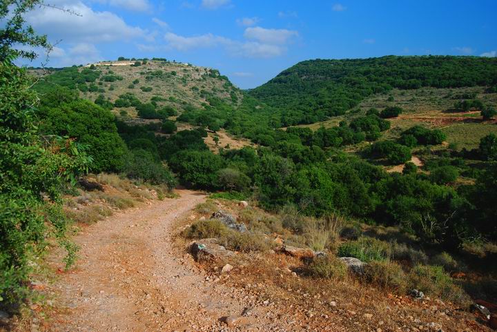 View of the road to Khirbet Bilton, south-east to Beit Uriya