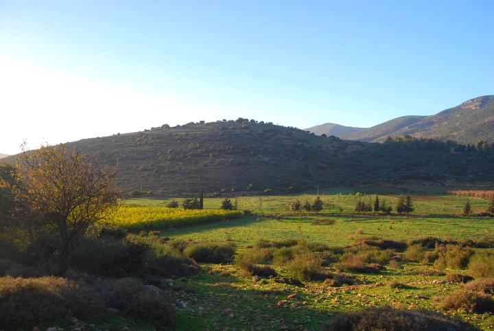 Khirbet Beer Sheba (Galilee) - view from the west