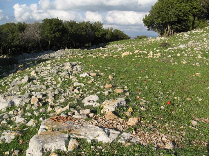 Inside Khirbet Dubah, on the south-west side.