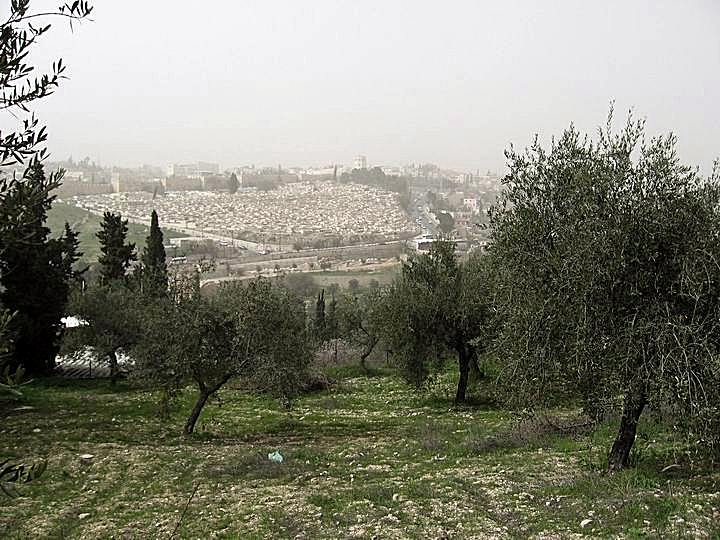 View from mount of olives towards the old city.