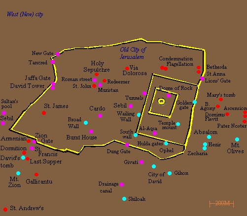 My Image 26
