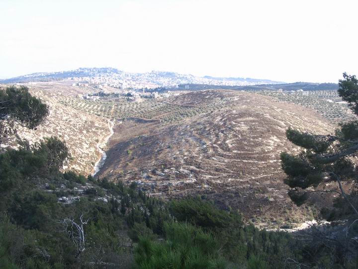 Les collines sud de Megiddo - Armaggedon ?