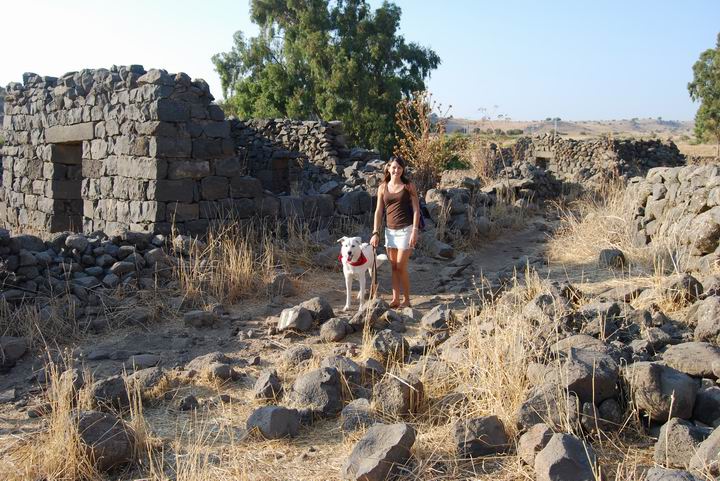 Webmaster Rotem with her Dog, Fiji, in the central road of Kfar Yehudiye