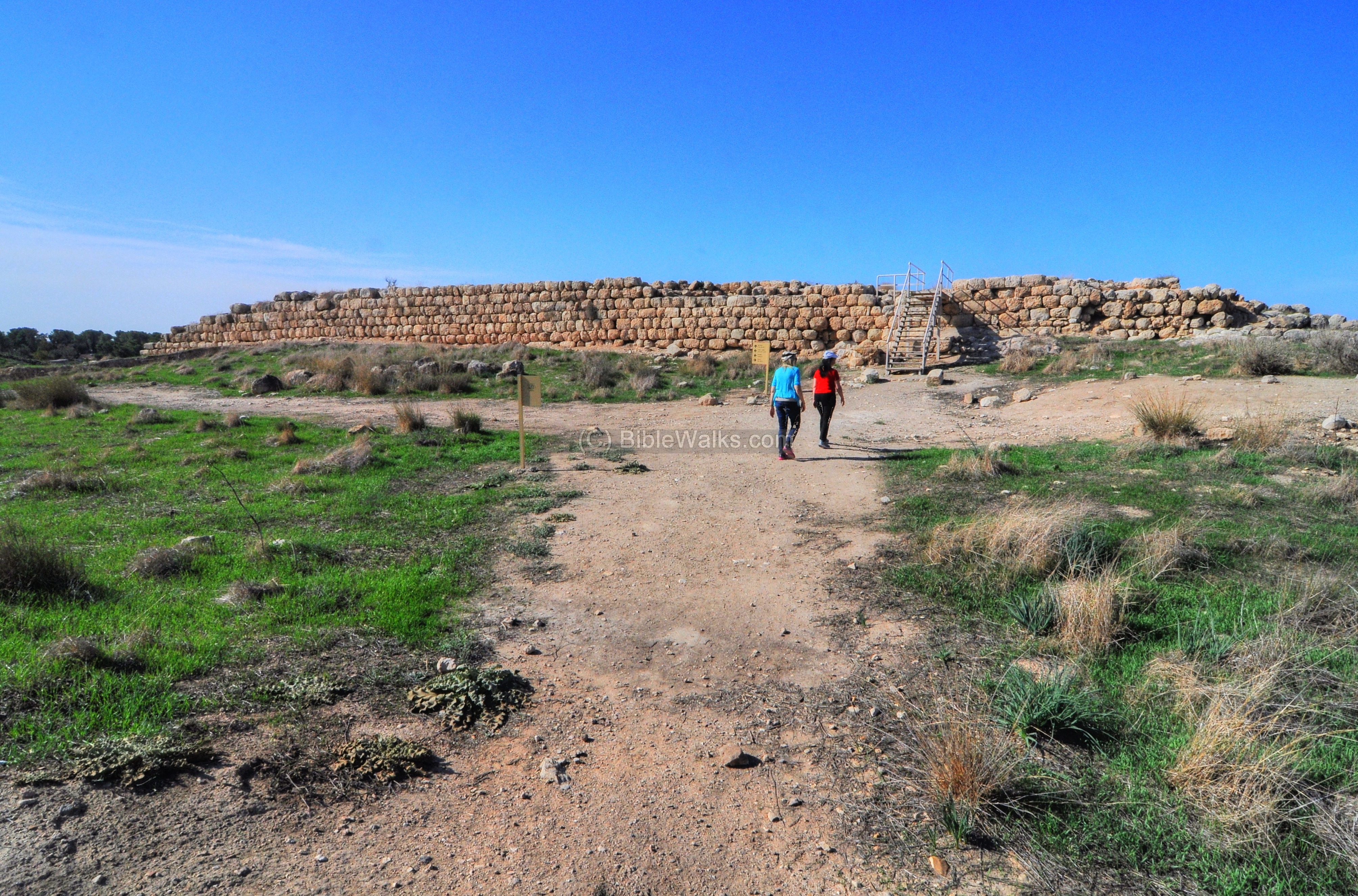 lachish tours