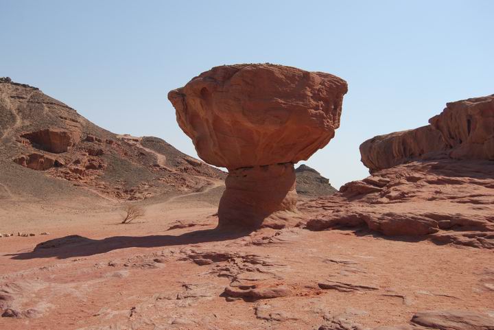 Timna: Mushroom