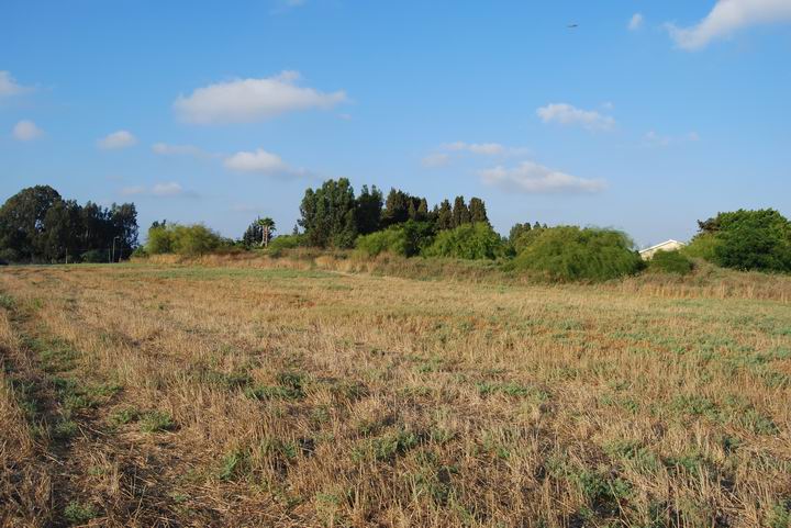 Tell Zavat - view from the south-west