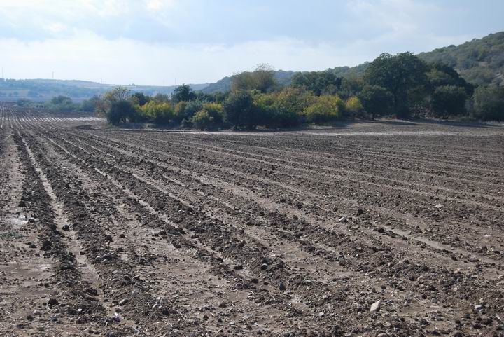 Tell Yiftach-El - seen from the north side.