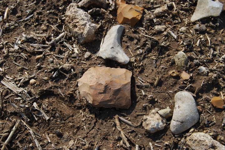 Yiftach-El creek : a flint stone tool (scraper) in situ