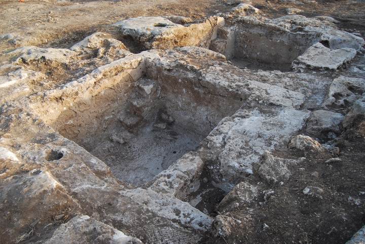 Habonim winepresses - the crushing floors