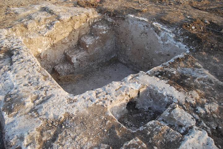 Habonim: cluster of winepresses