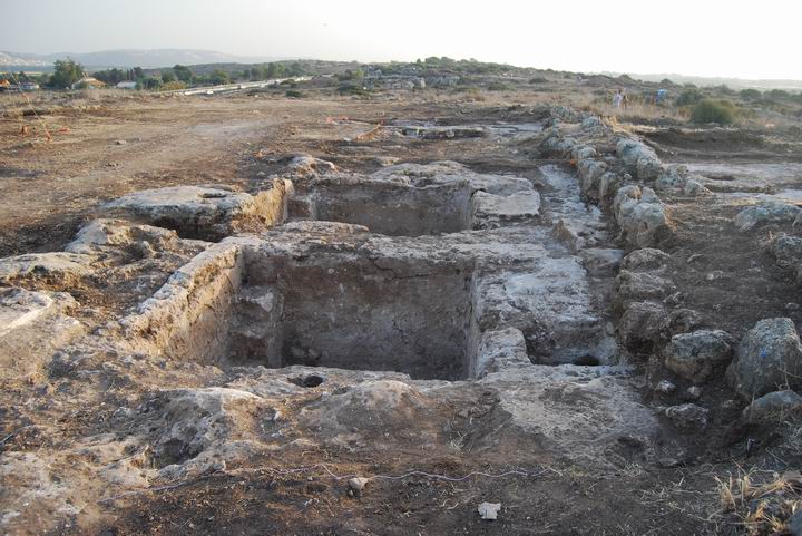 Habonim: cluster of winepresses