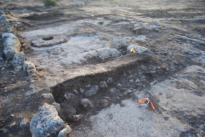 Habonim winepresses - the crushing floors