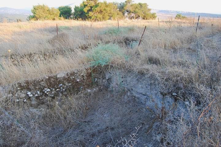 Tell Yizreel: top of the site, view to the east