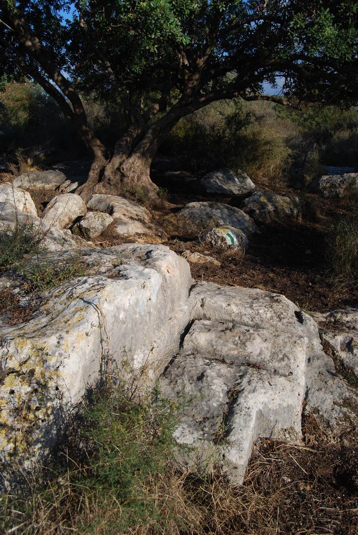 Lower Manot: stone quarry