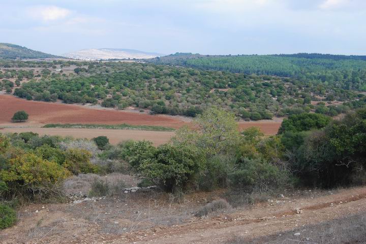 Shimshit - view towards Sepphoris