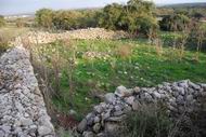 Khirbet Suggar - the sheepfold.