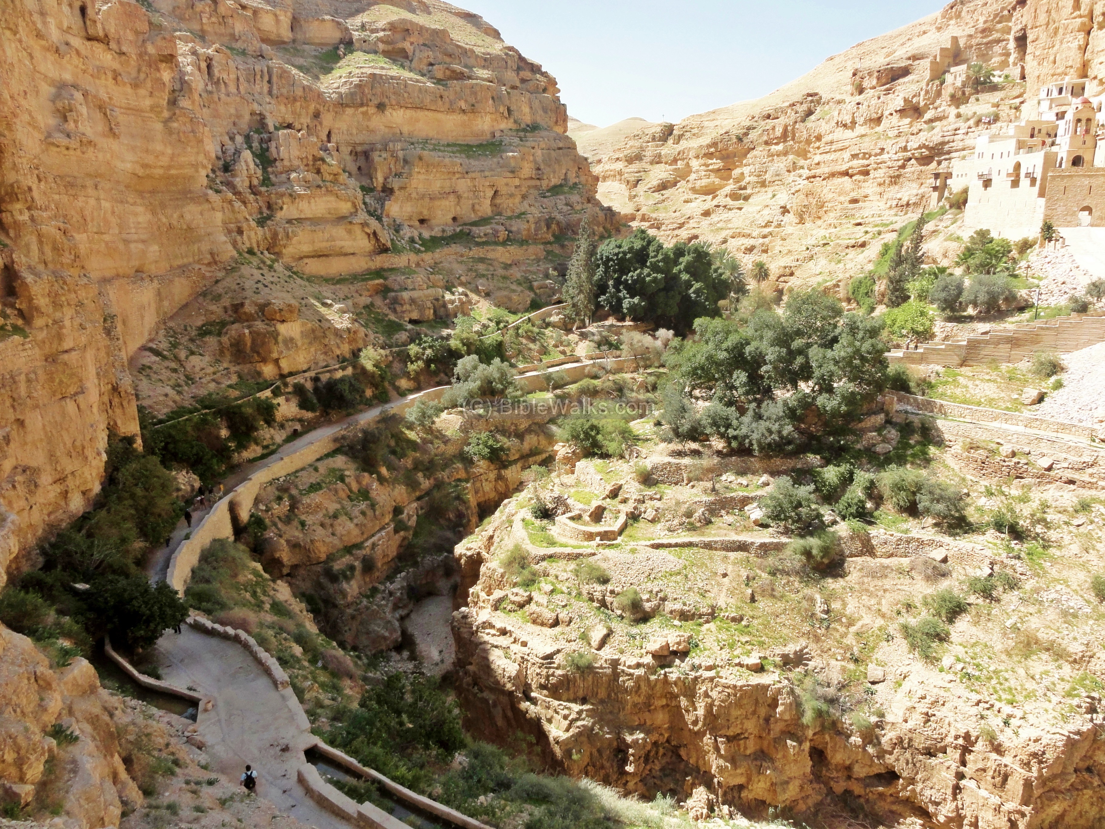 wadi qelt tour