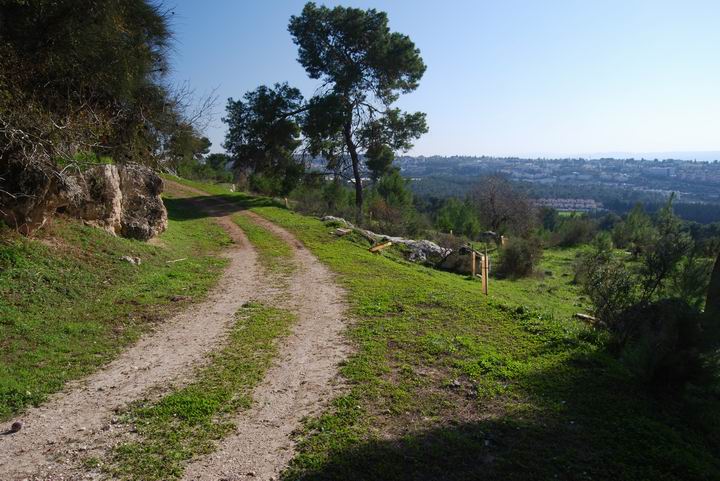 Ma'Alul/Nahalal: south-east road