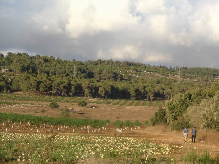 Ma'Alul/Nahalal: view from Migdal Hamek towards north