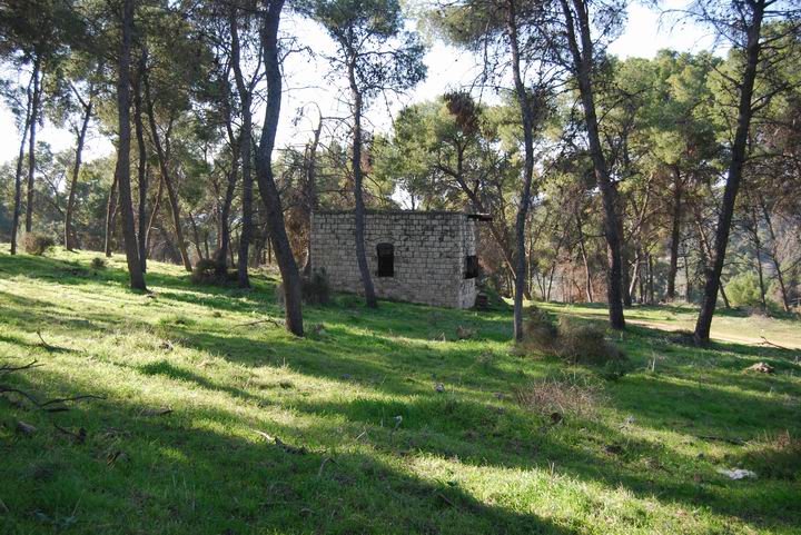 Ma'Alul/Nahalal: local mosque