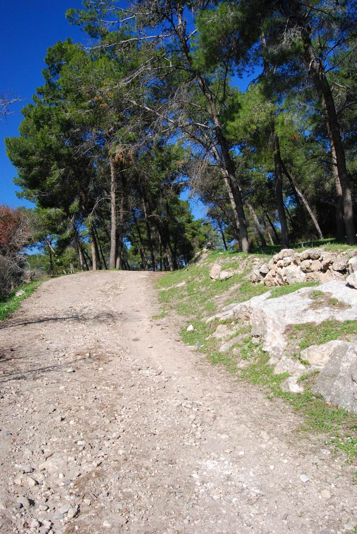 Ma'Alul/Nahalal: entrance road