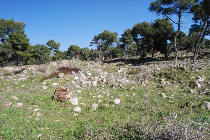 Ma'Alul/Nahalal: ruins of the Arabic town