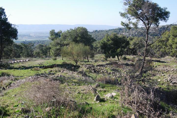 Ma'Alul/Nahalal: ruins of the Arabic town