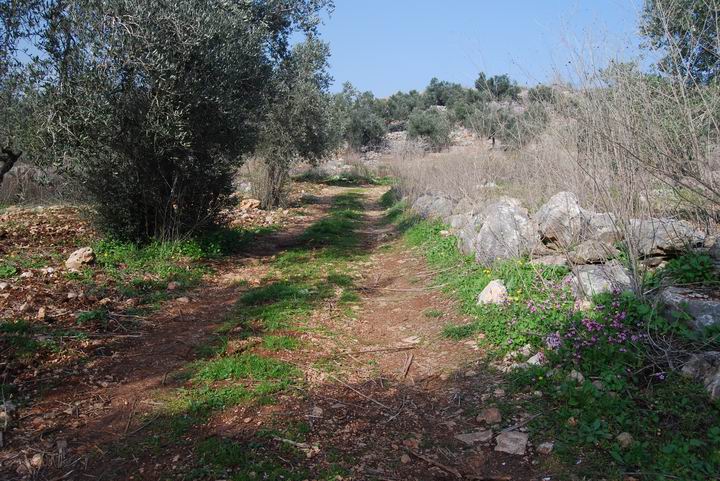 Hurvat (Khirbet) Mehoz - entrance road