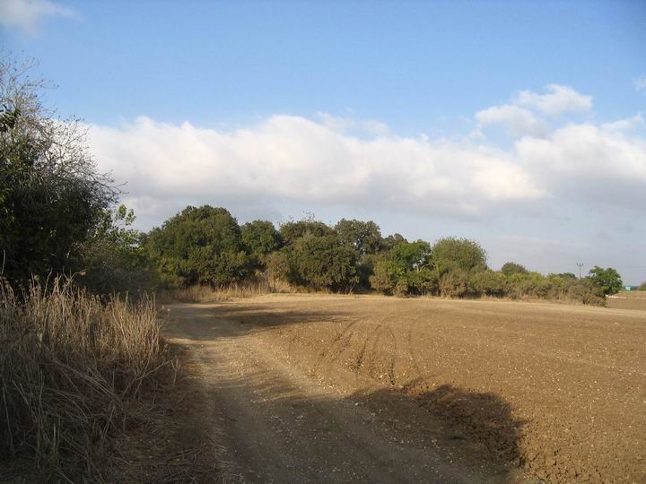 Yiftach-El as seen from the south.