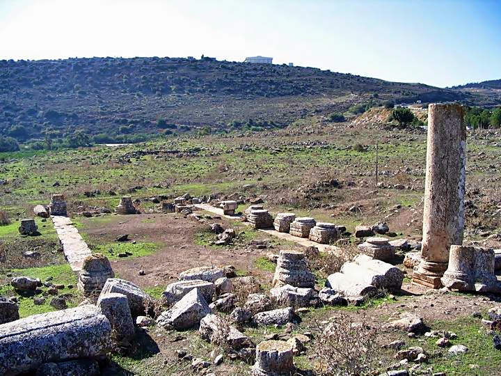 View from the North side of the synagogue.