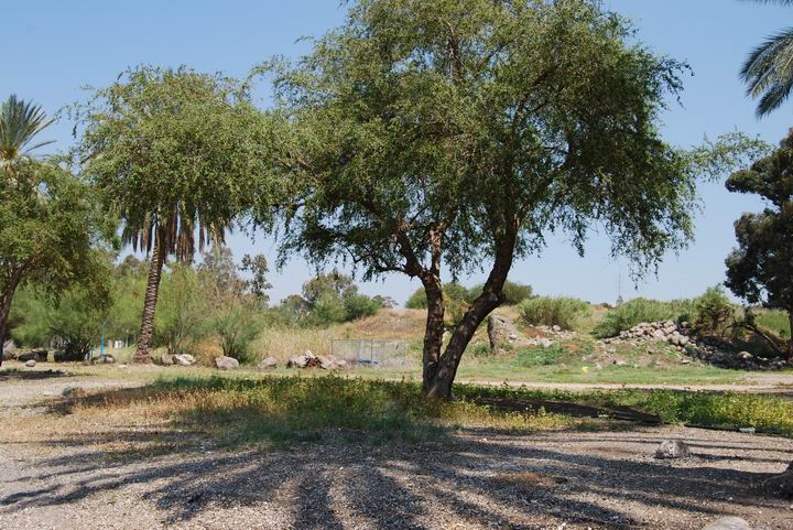 Tell Hadar - view from the beach