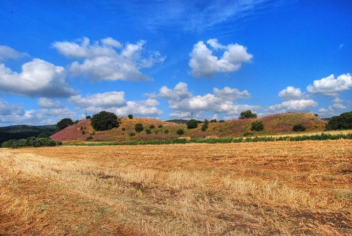 The Tell during the spring time; view from south-west