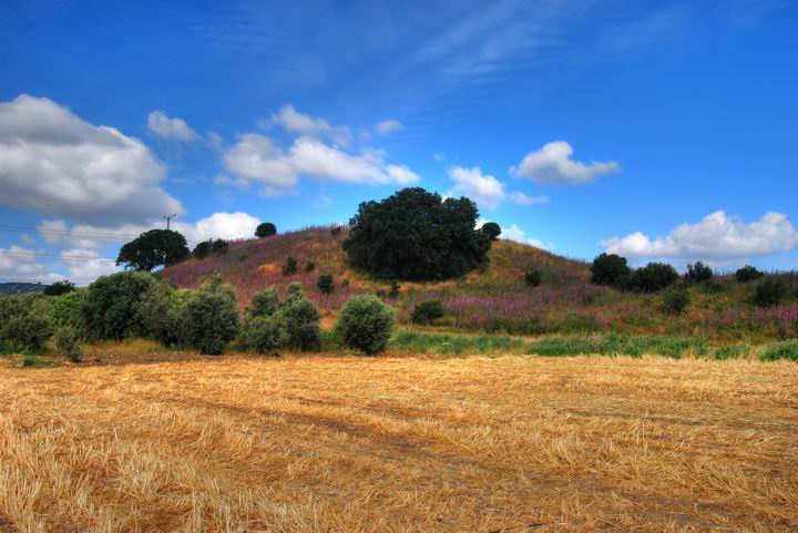 The Tell during the spring time; view of the north-west side