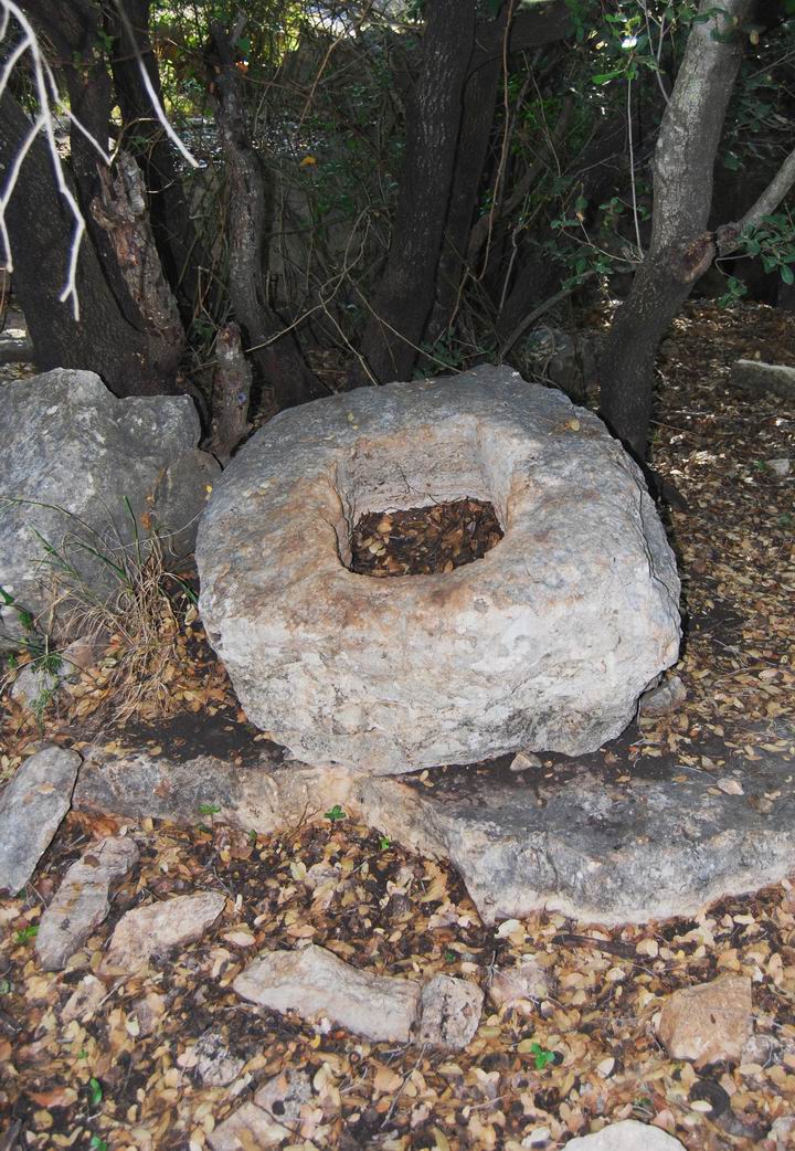 Oil press in Khirbet Beit Uriya