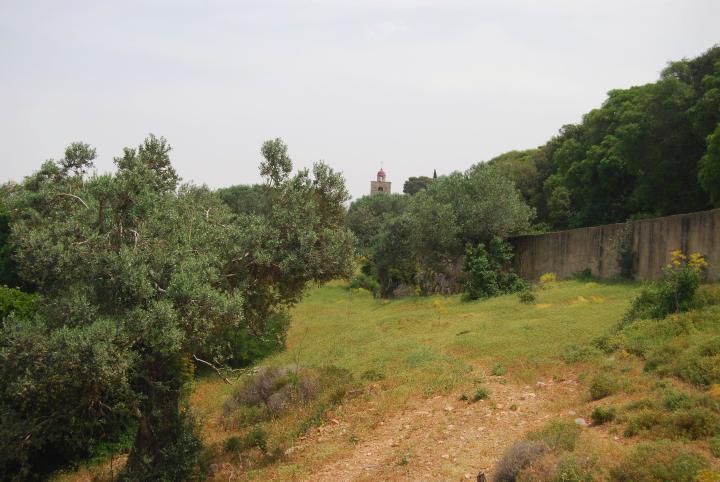 Mount Tabor - Greek Orthodox St. Elias - northern slopes