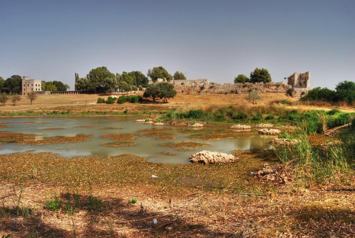 Afek in the Sharon: view from the north