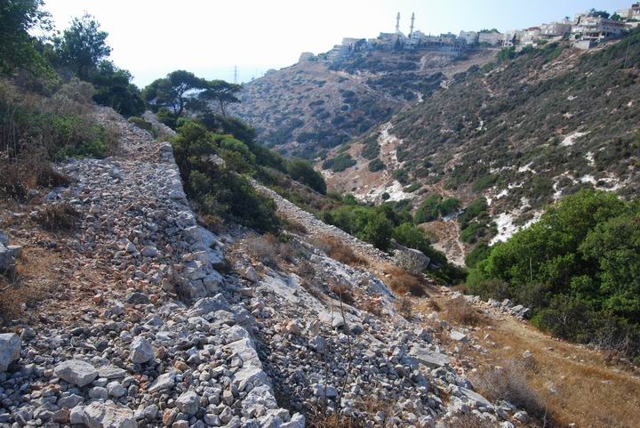 Siah brook: view towards west