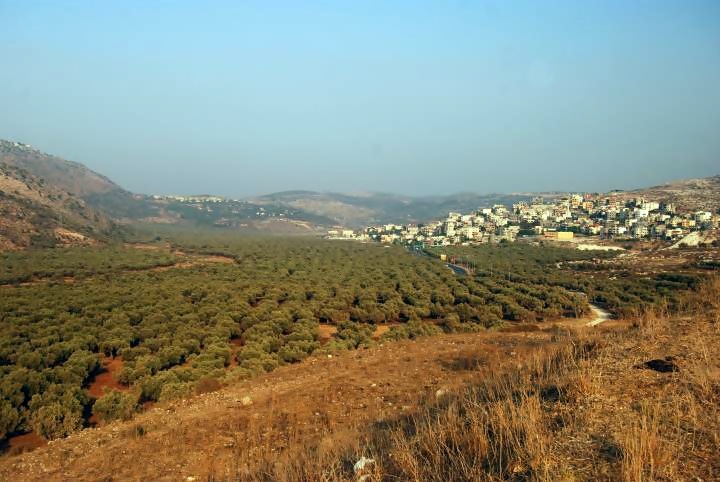 Sha'ab: the village along the Chilazon creek