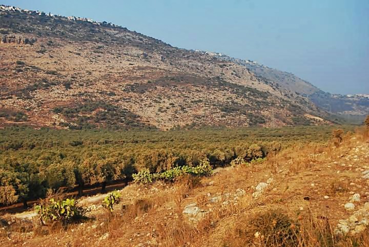 Tell Ya'anin: Biblical Ne'iel - view of Chilazon creek