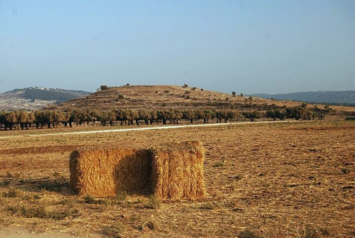 Tell Ya'anin: Biblical Ne'iel - view from the north-west