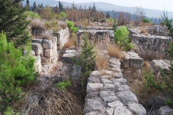 Rosh Zayit: view of the citadel