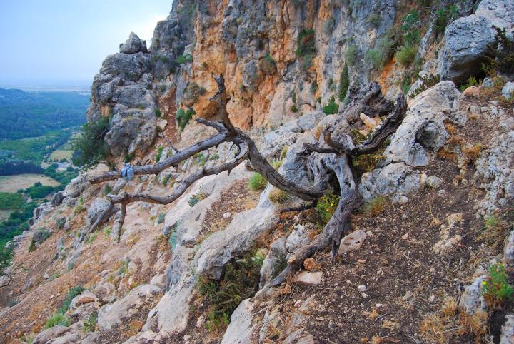 Path along the cliffs