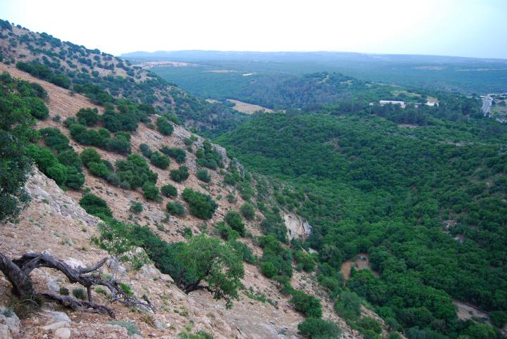 View from the cliffs towards the east