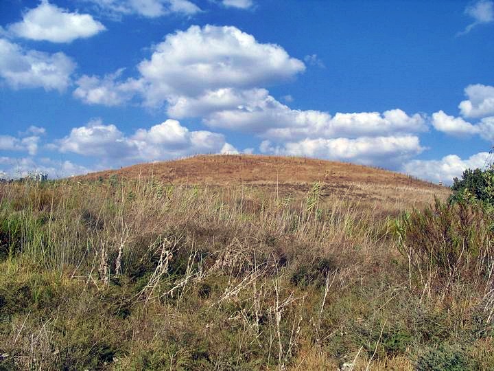 View of Tell Sarid from the south.