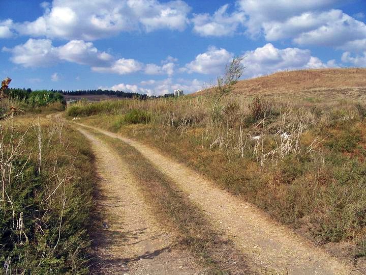 View of Tell Sarid - south side: road to Kibbutz Sarid.