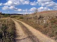 View of Tell Sarid - south side: road to Kibbutz Sarid.