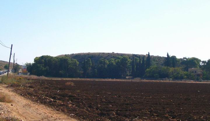 View of Tell Bira from the north side. 