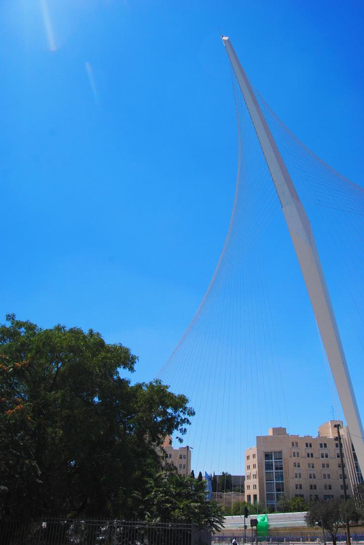 David's harp bridge 