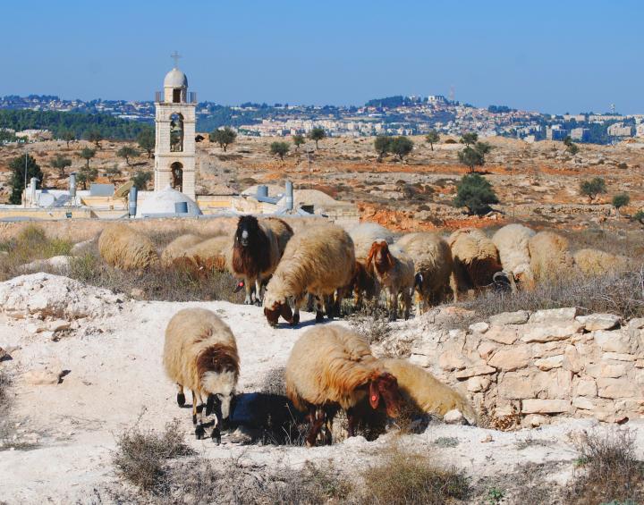 Mar Elias Monastery - east hill - view towards the west